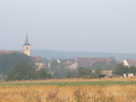 Mittersheim vu de loin